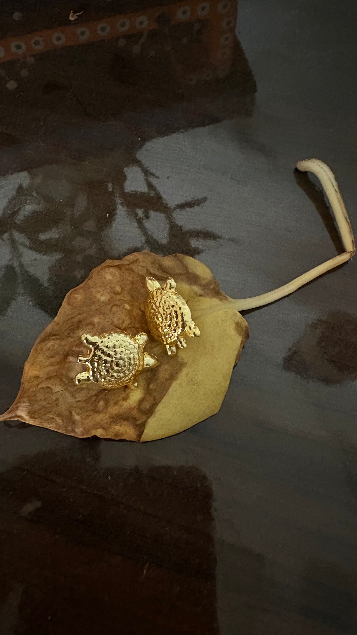 Turtle studs - Riverblend