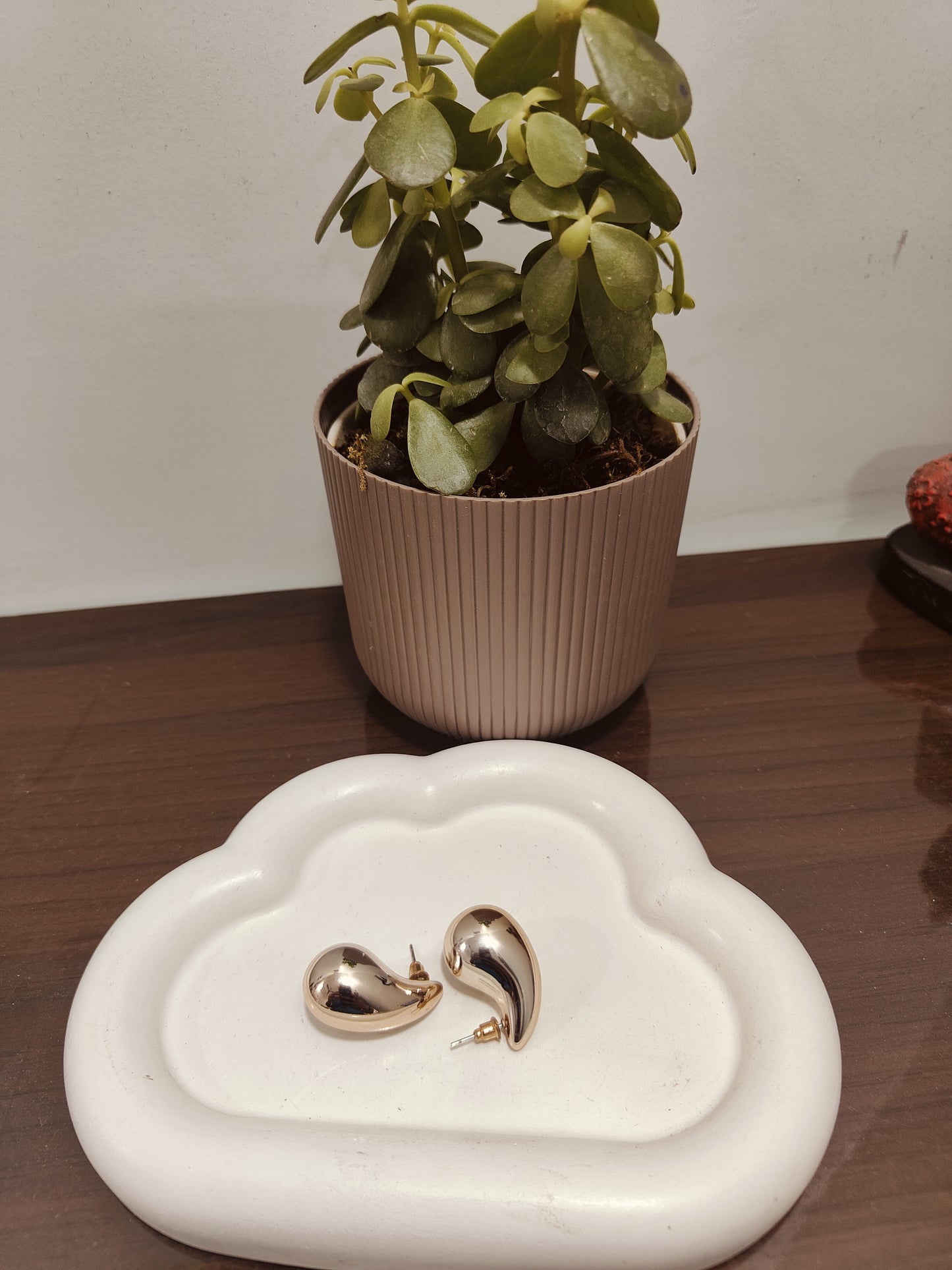 Tear drop 💧 earring