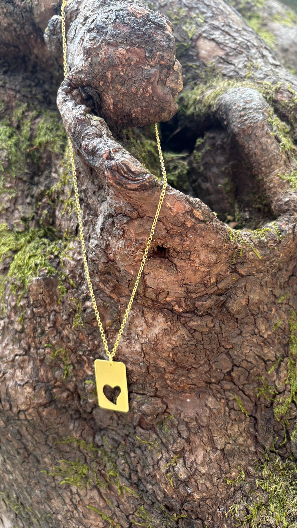 Heart of wild pendant Riverblend