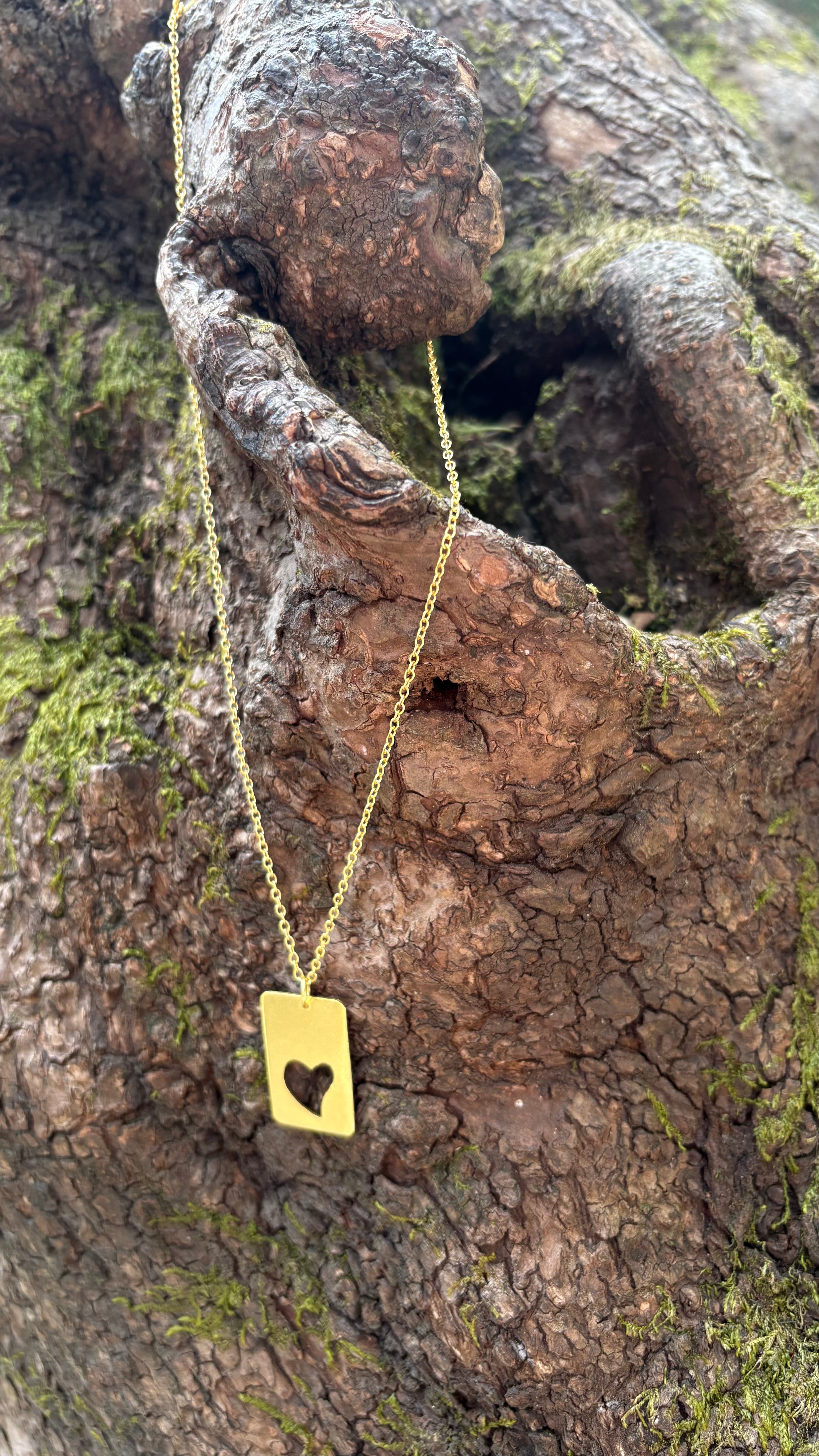 Heart of wild pendant Riverblend