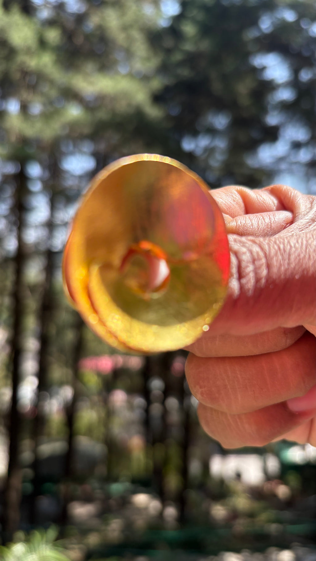 Oval curl ring ( size S min adjustable) Riverblend