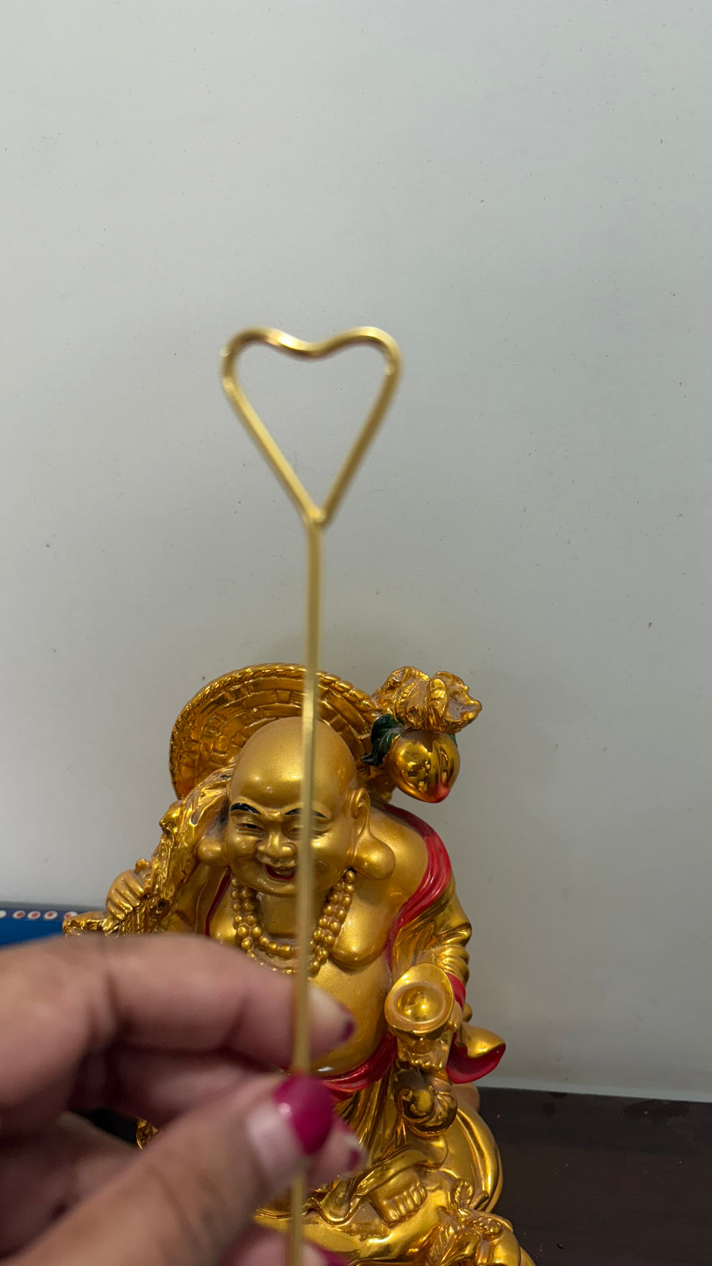 dragonfly hair cage bun