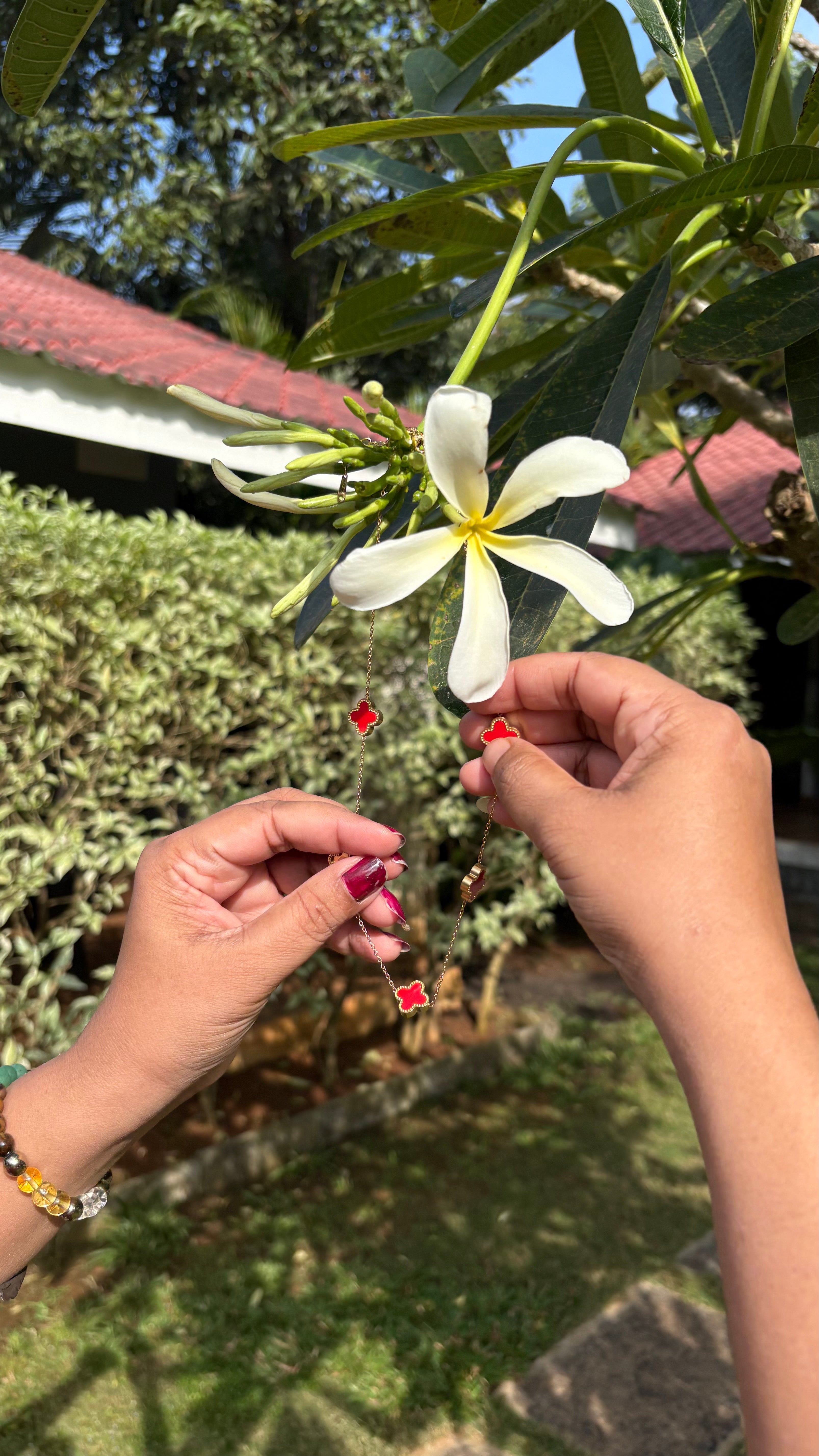 Red star anti tarnish