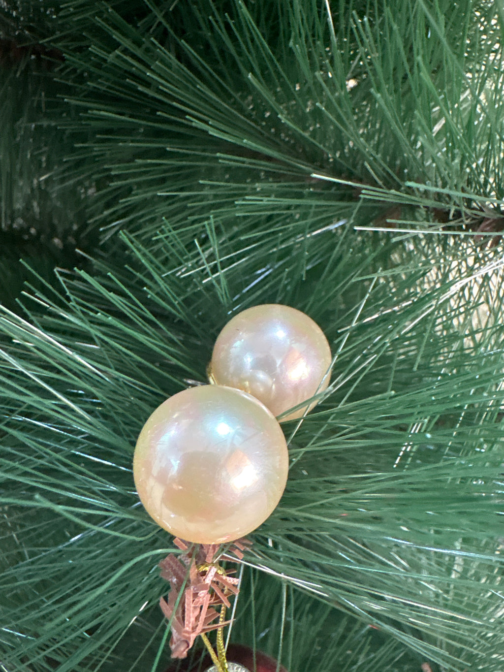 Campaign Pearl studs