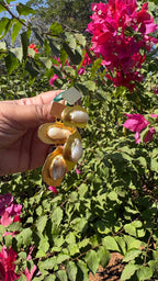 Pearl zigzag earring
