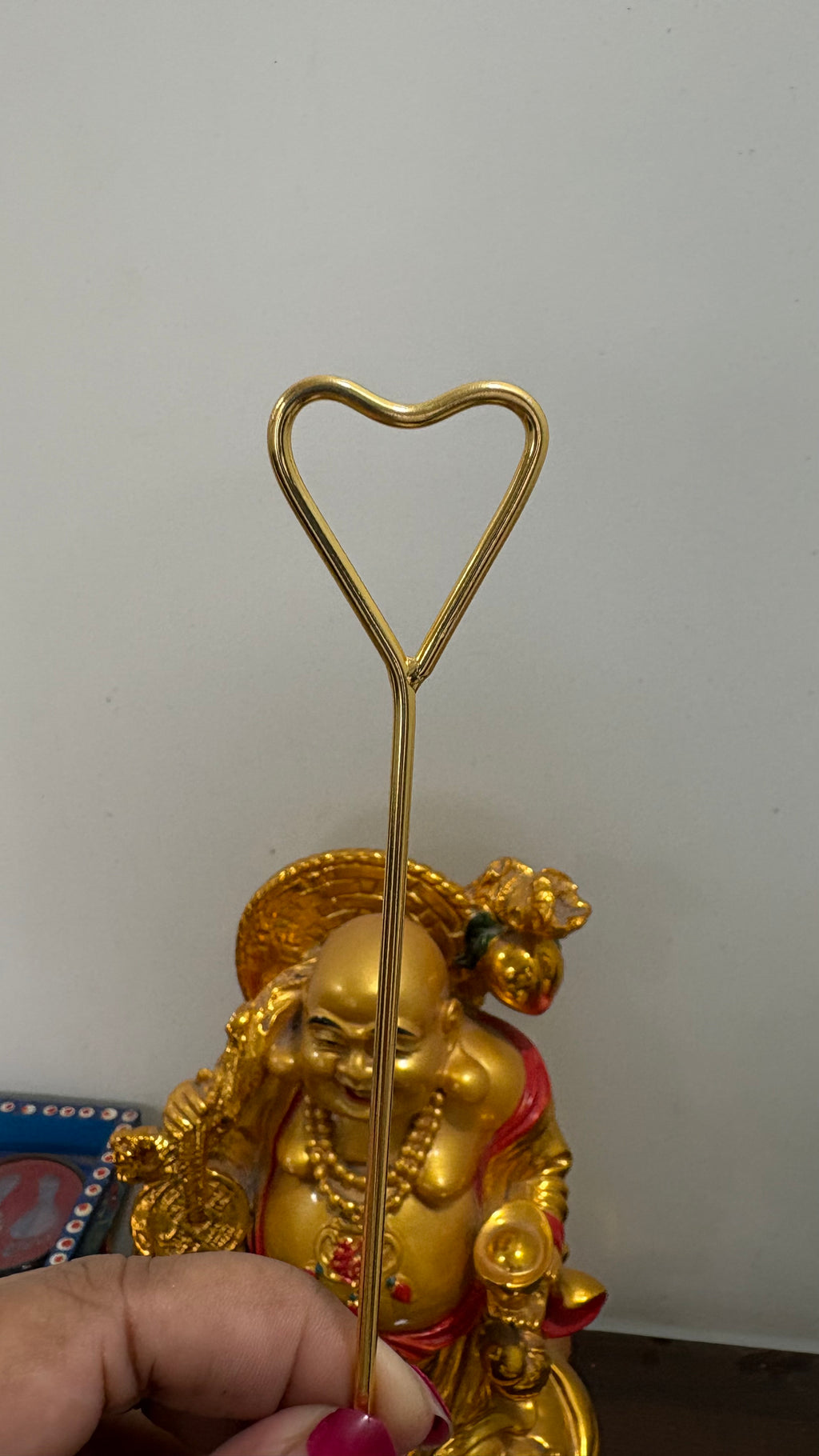 dragonfly hair cage bun