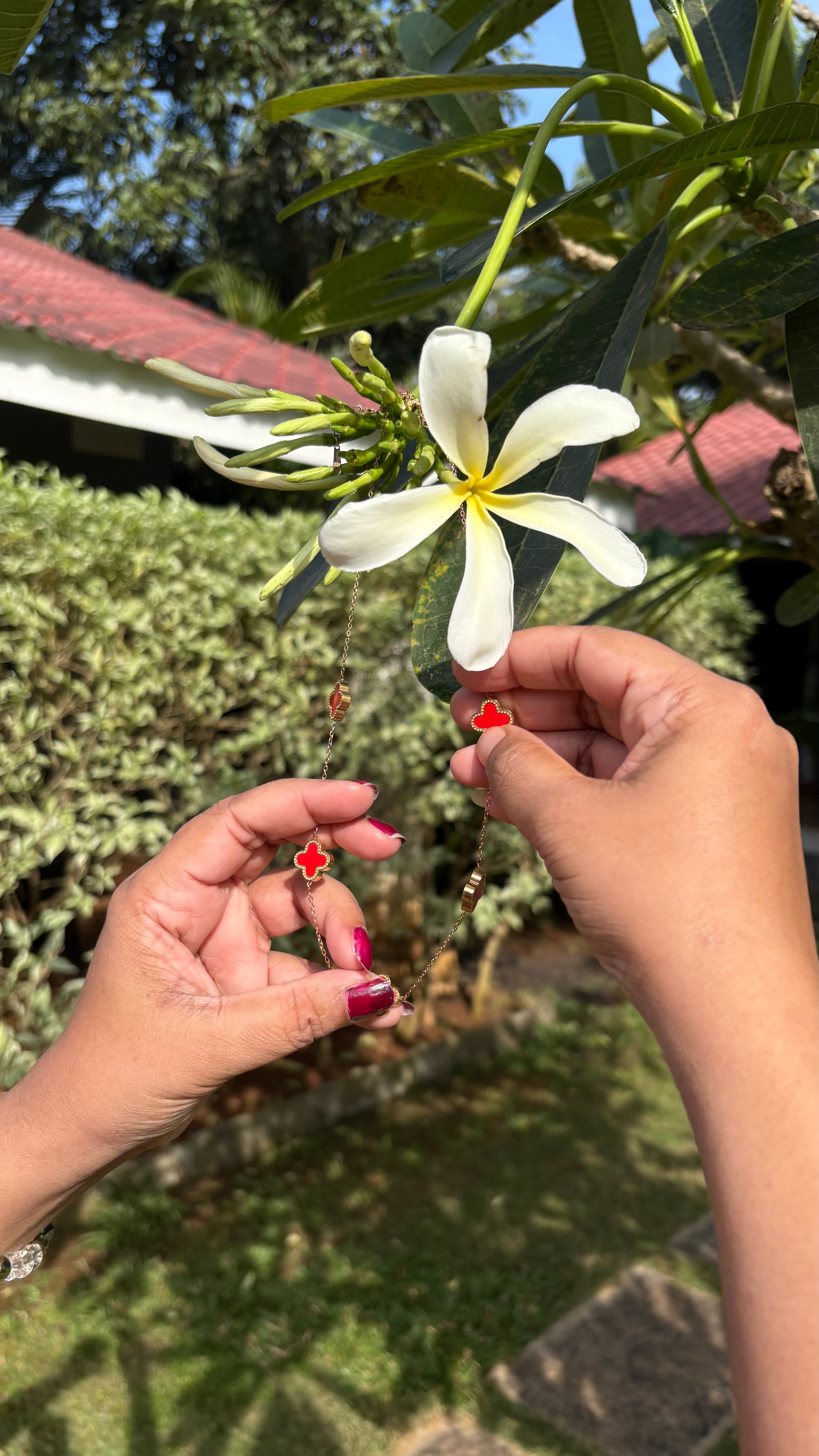 Red star anti tarnish