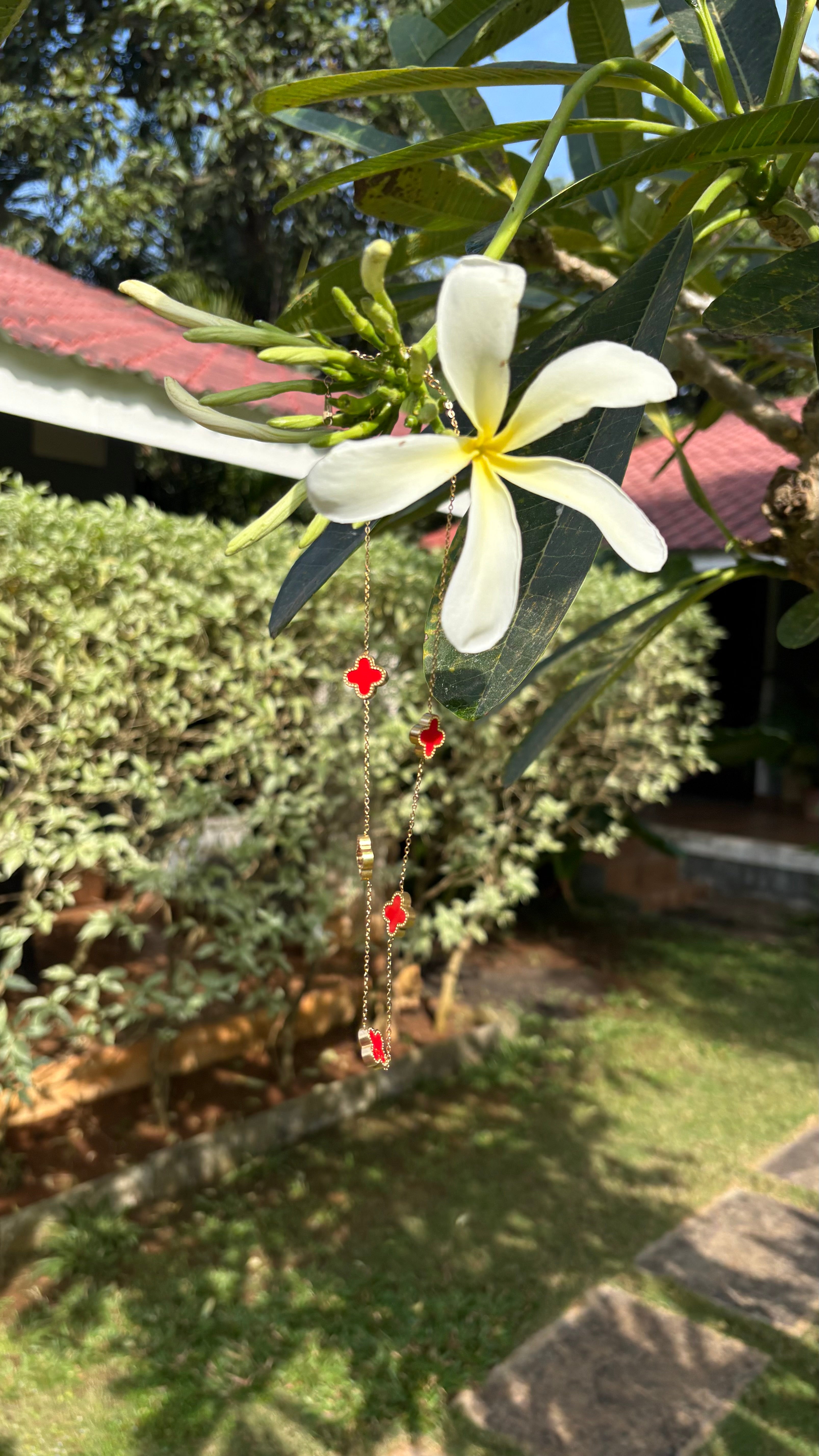 Red star anti tarnish