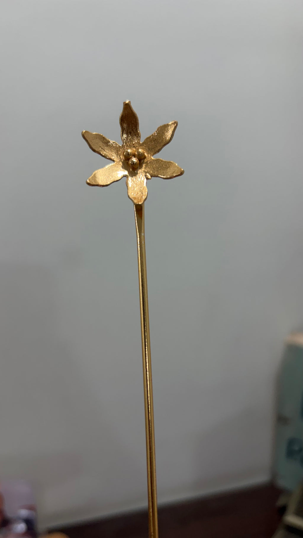 Hair cage brass bun - Riverblend