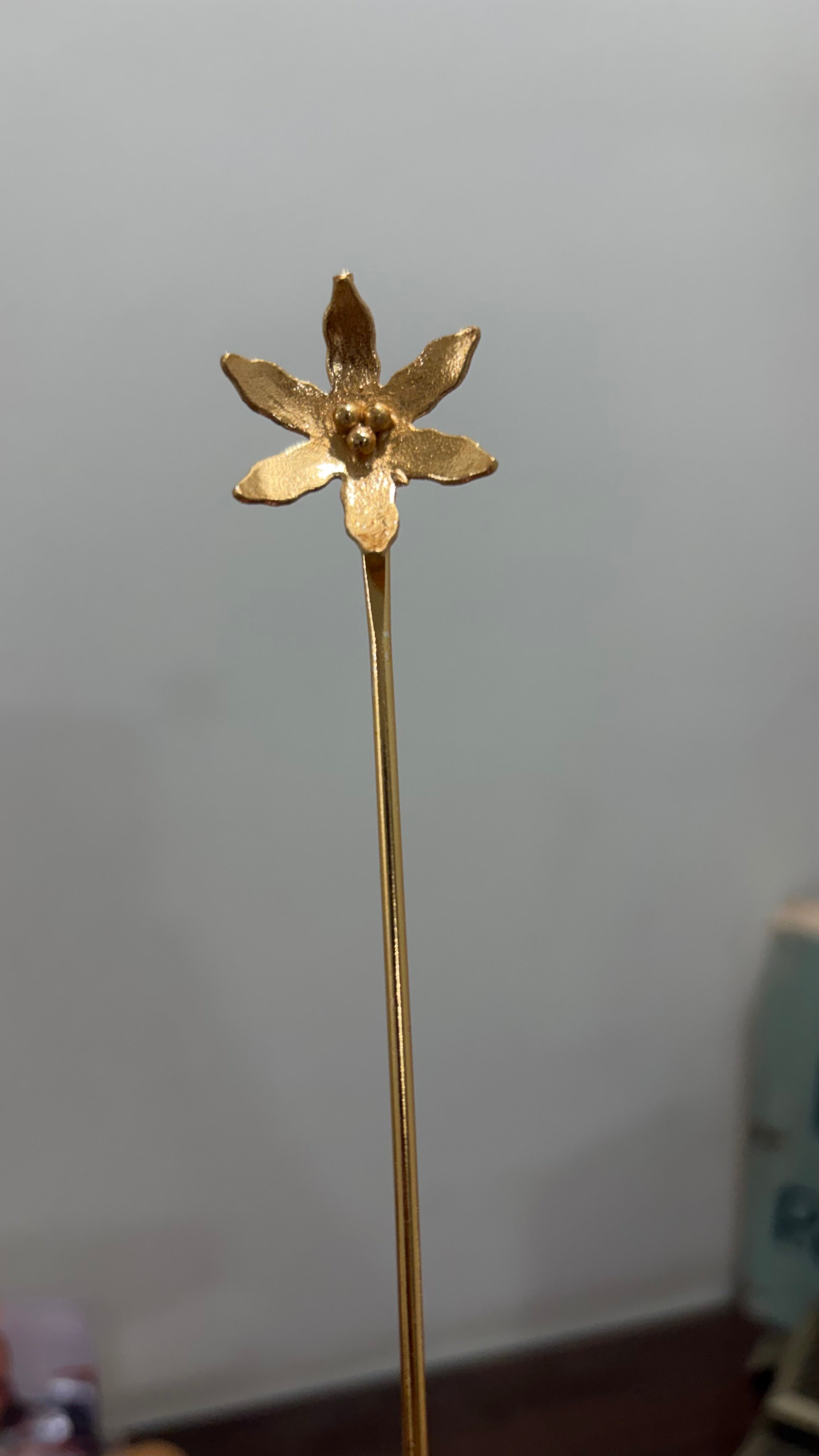 Hair cage brass bun - Riverblend