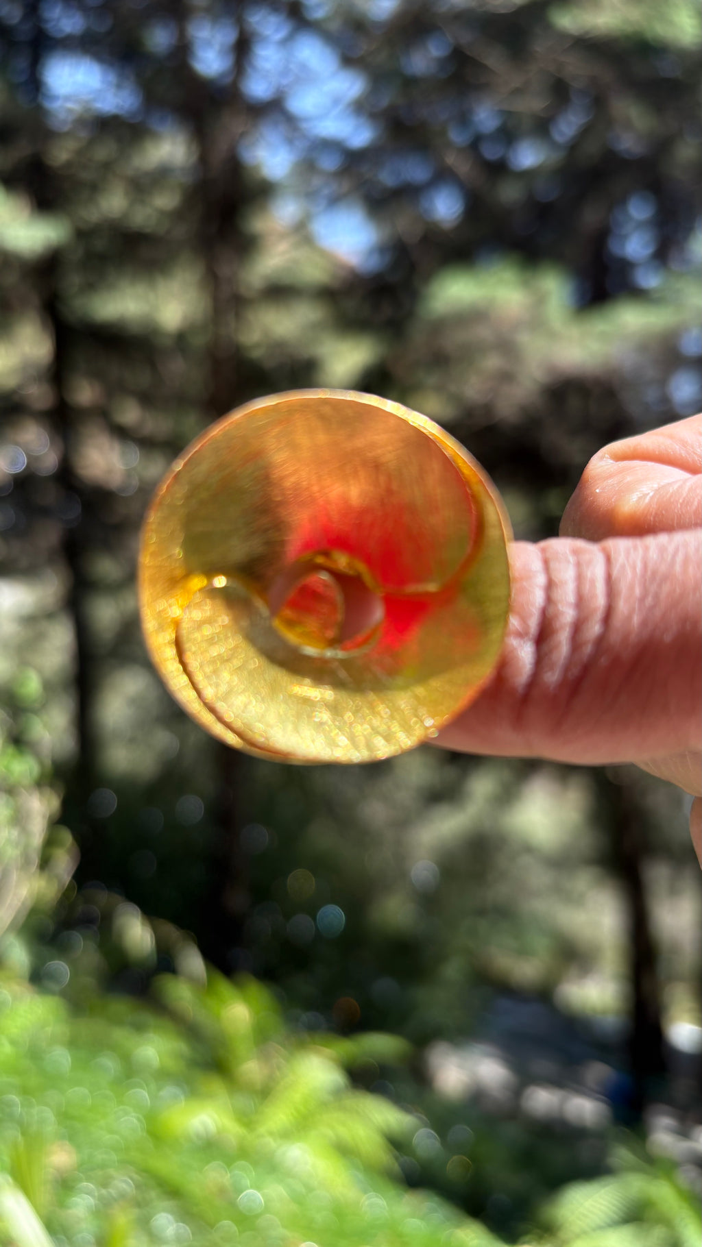 Oval curl ring ( size S min adjustable) Riverblend