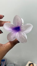 Hawai claws clip