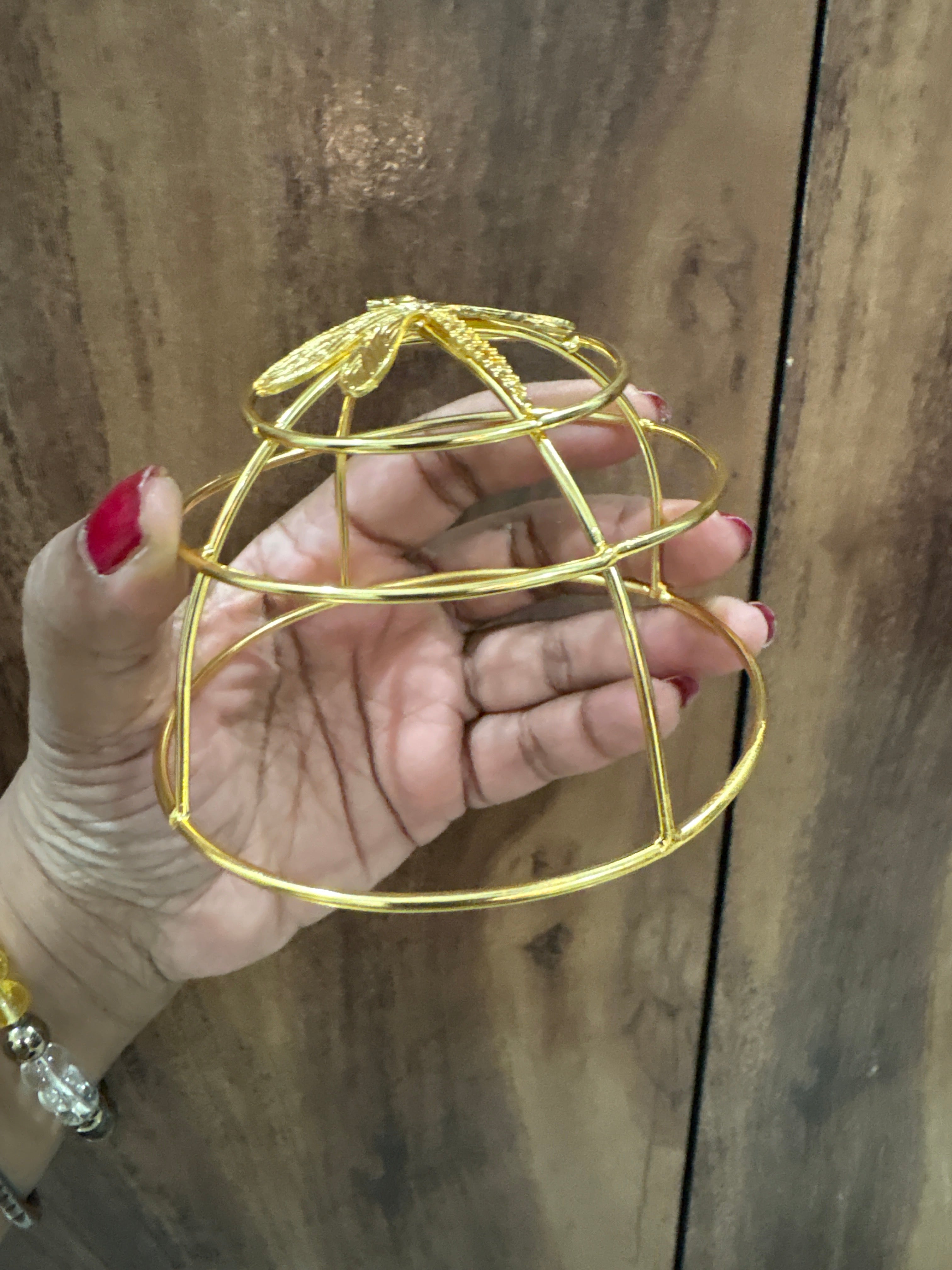 dragonfly hair cage bun