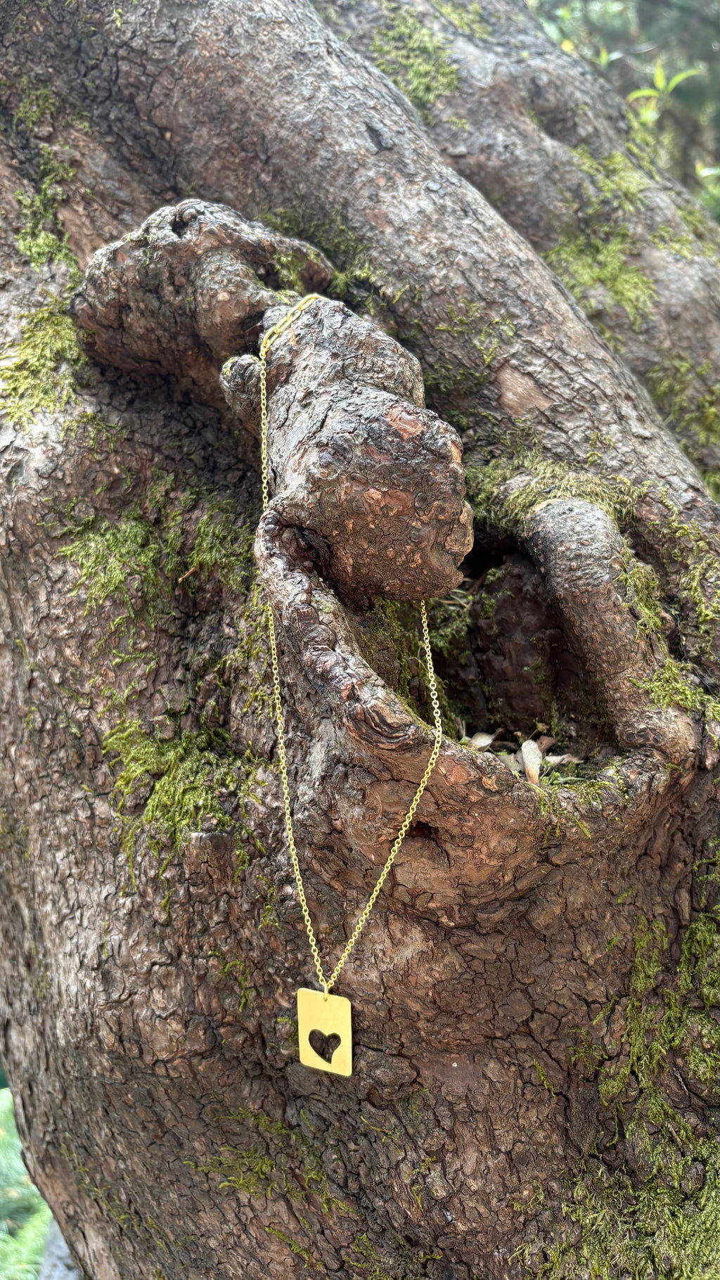 Heart of wild pendant Riverblend