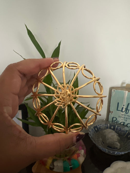 Lotus hair cage bun