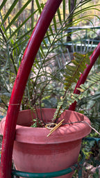 Minimal Loop Bar Ring Riverblend