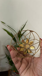 Flower hair cage bun- Riverblend