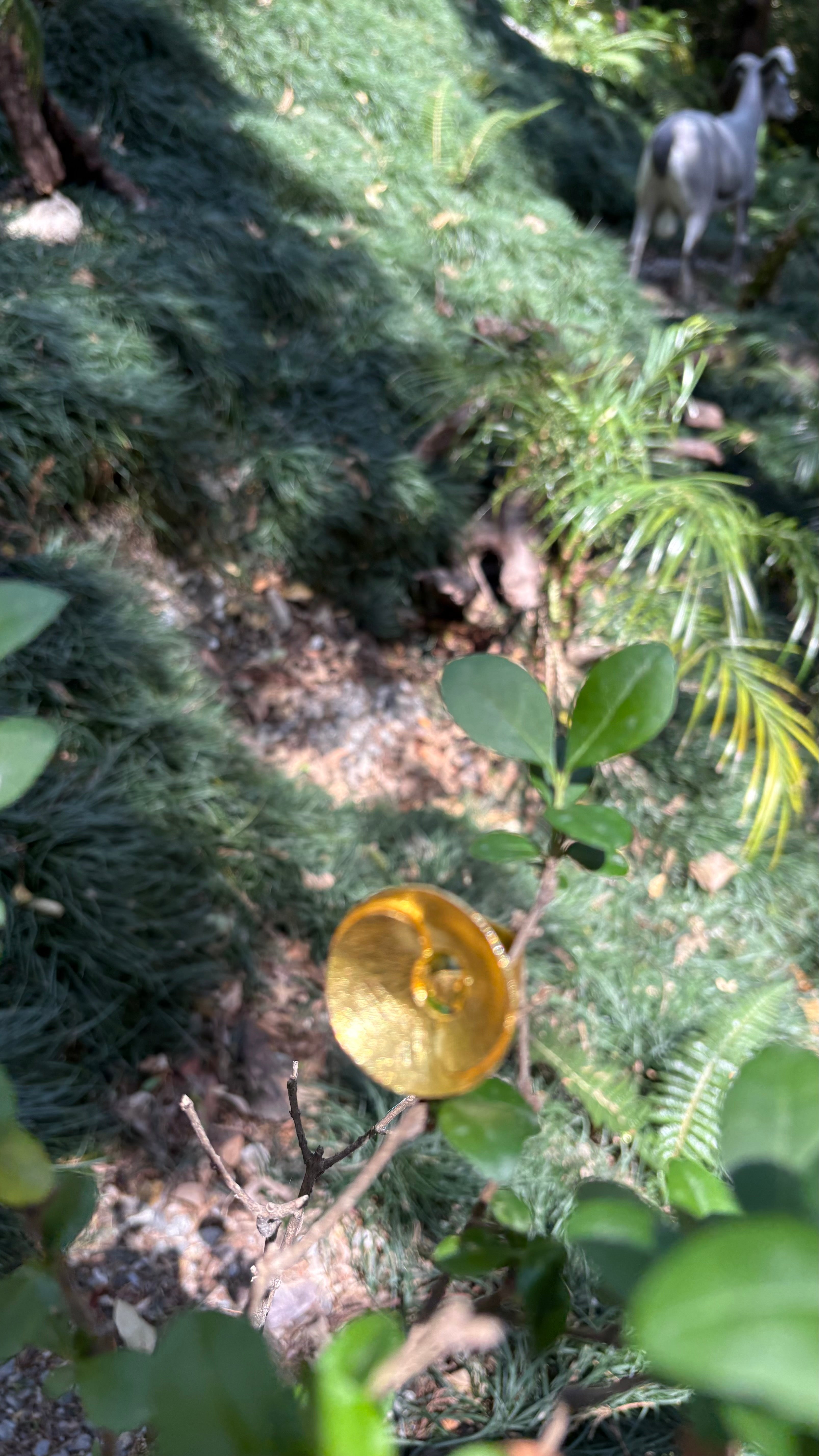 Oval curl ring ( size S min adjustable) Riverblend