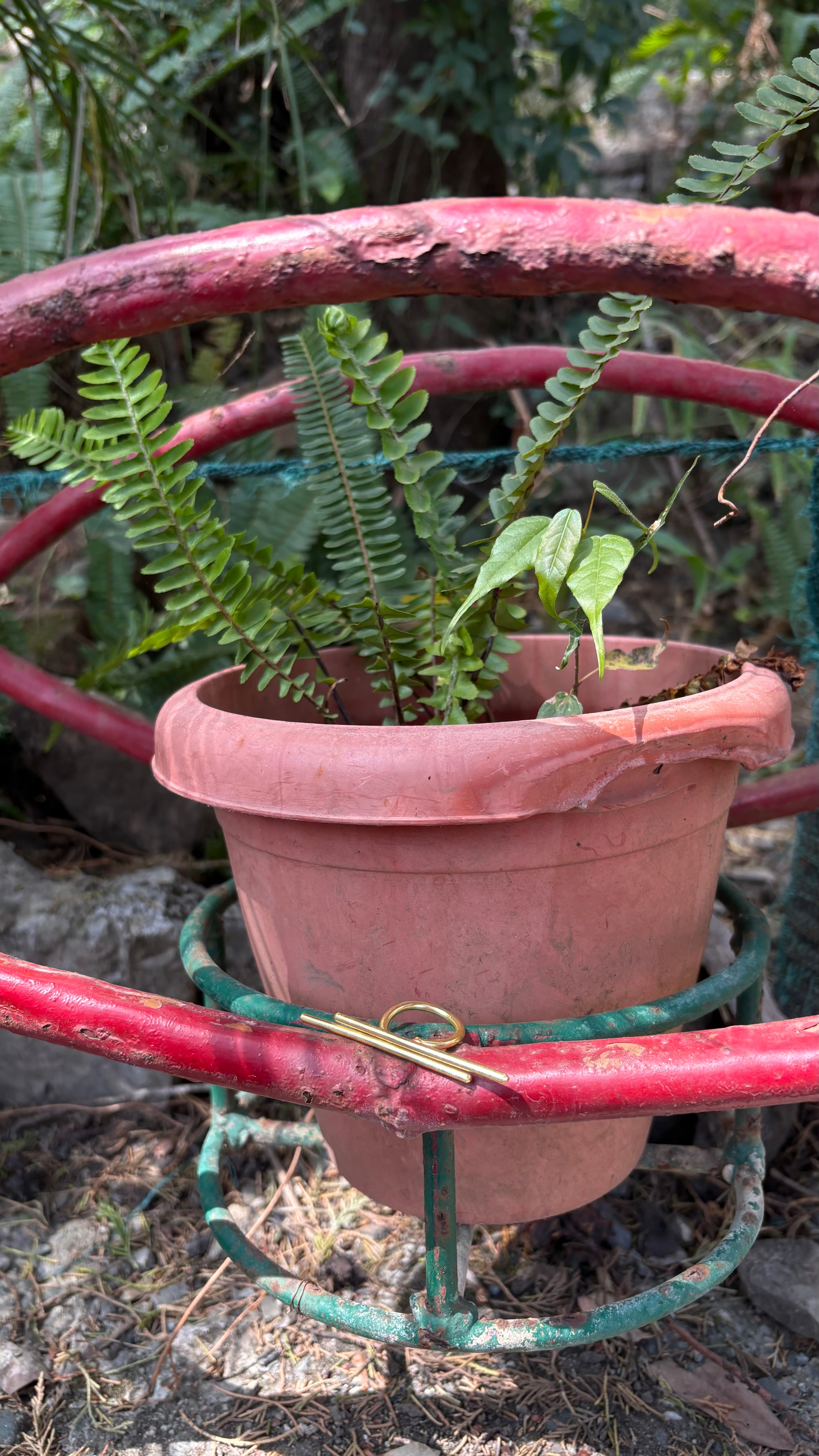 Minimal Loop Bar Ring Riverblend