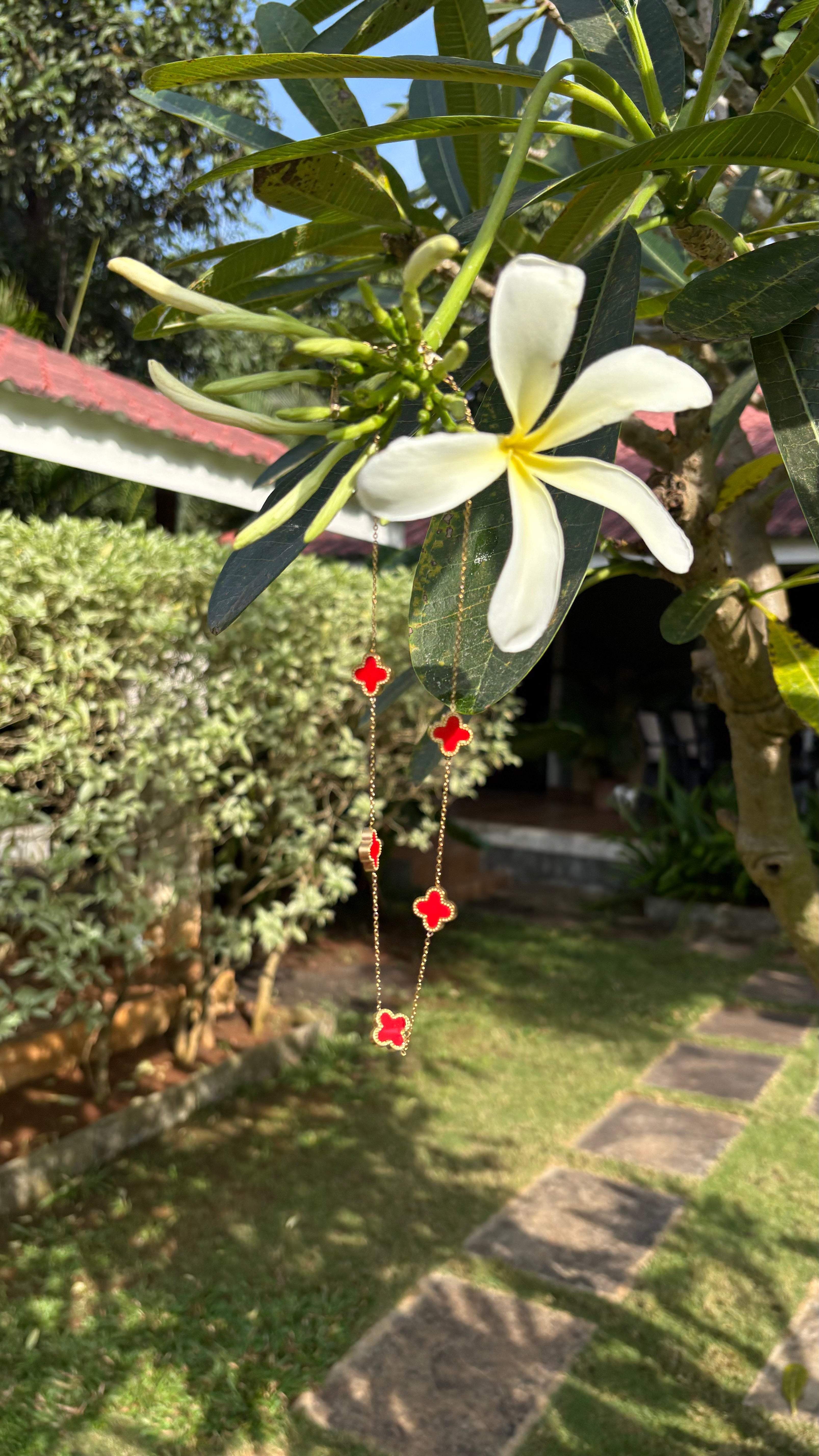 Red star anti tarnish