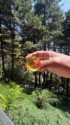 Oval curl ring ( size S min adjustable) Riverblend