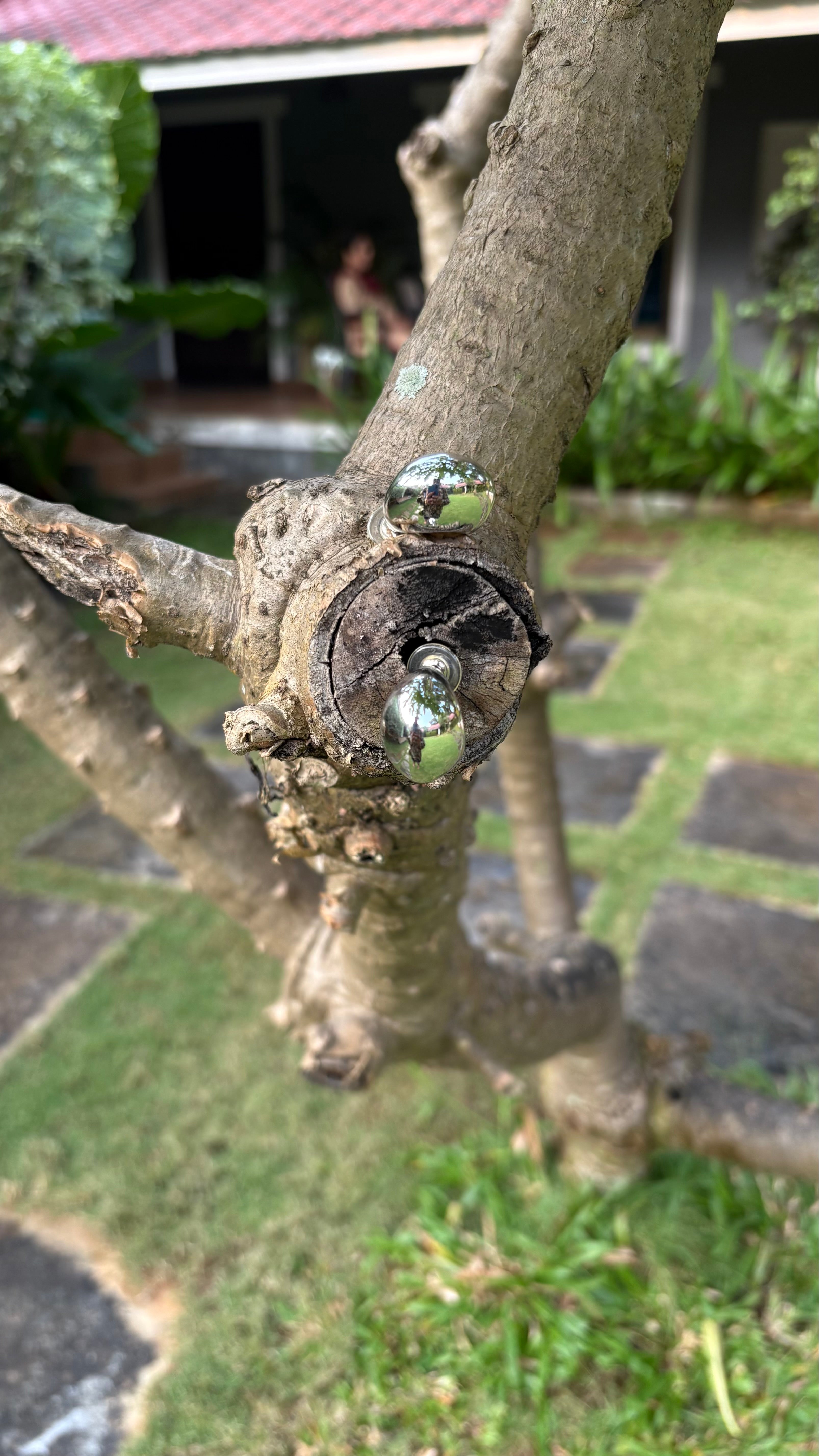 Silver Chunky Graduated Hollow Hoop Earring