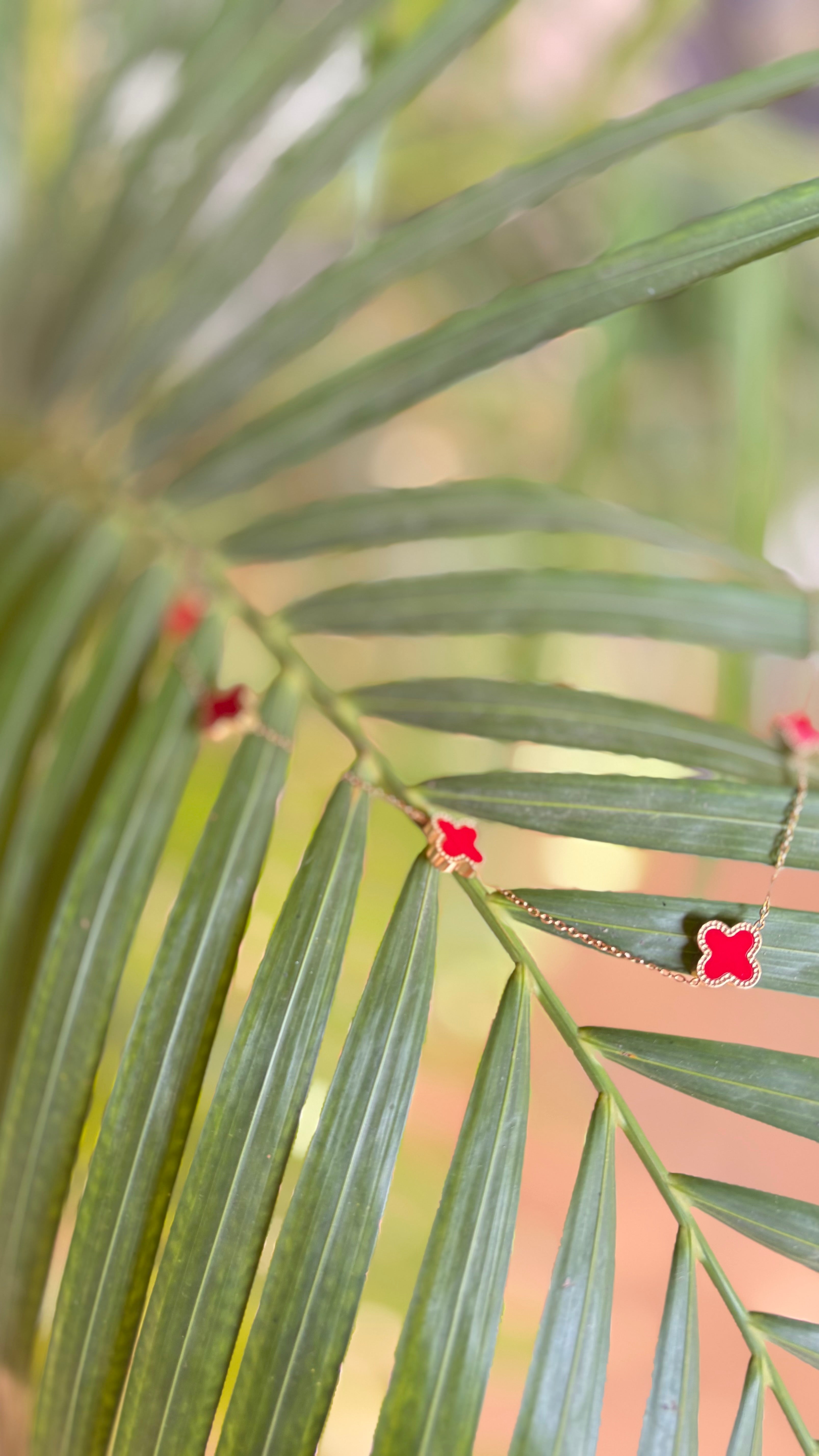 Red star anti tarnish