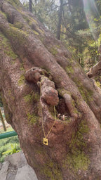 Heart of wild pendant Riverblend