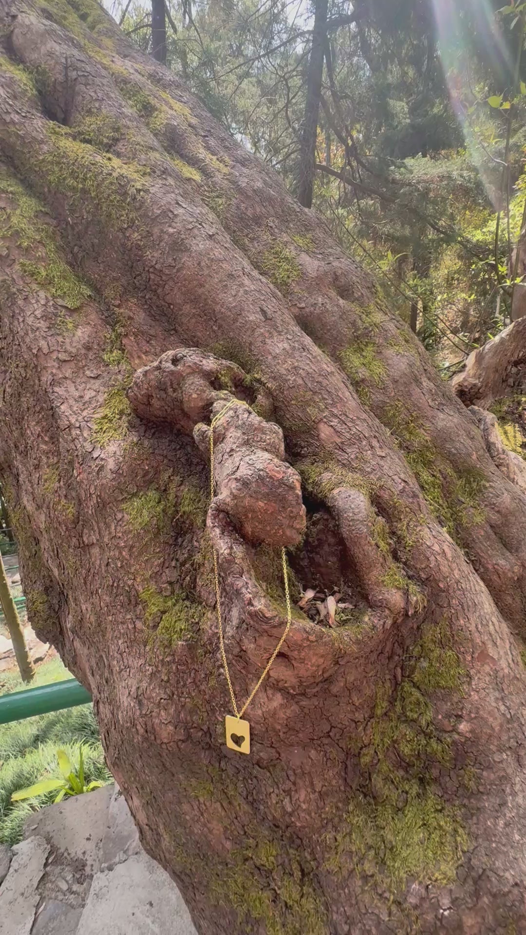Heart of wild pendant Riverblend