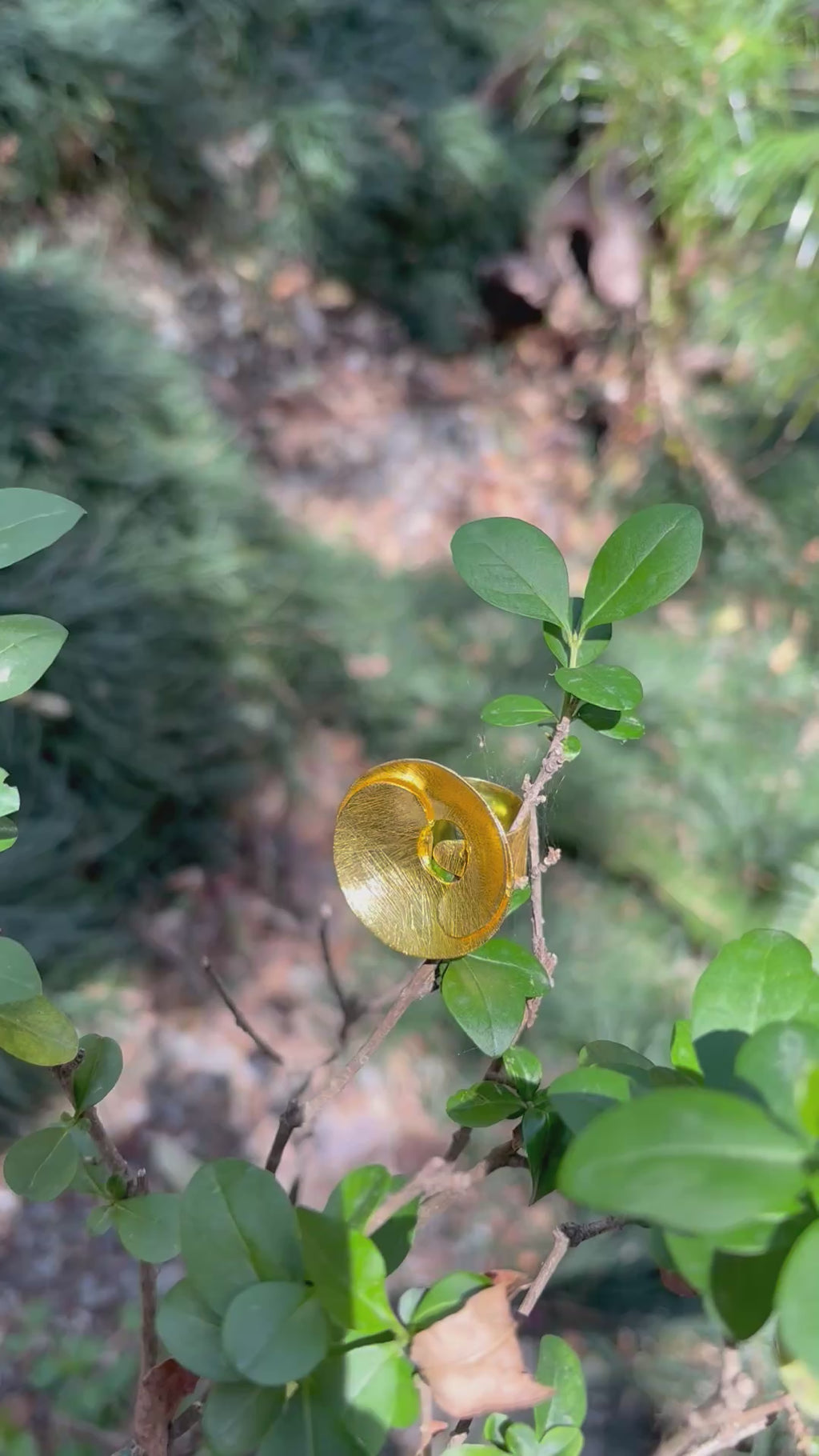 Oval curl ring ( size S min adjustable) Riverblend